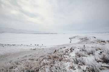 Fototapeta na wymiar Winter on Baikal