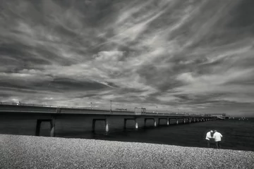 Peel and stick wall murals City on the water Greyscale shot of a the deal seafront and pier