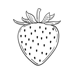 Strawberry hand drawn engraving isolated vector illustration. Fresh berries sketch. Organic healthy food black line on white background
