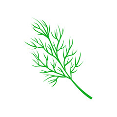 Dill isolated on white background. Fresh bunch dill. Dill weed twig for menu, packaging, cooking book, web, label design. vector illustration