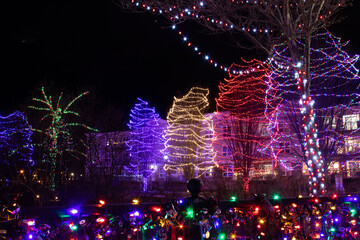 christmas tree and lights