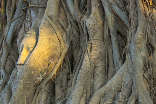 Wat Maha Thad
