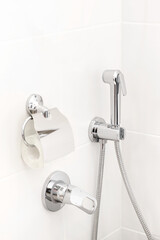 Details in a bright modern bathroom: toilet paper holder, hygienic shower
