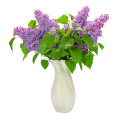 Beautiful bouquet of fresh lilac in vase isolated on a transparent background.