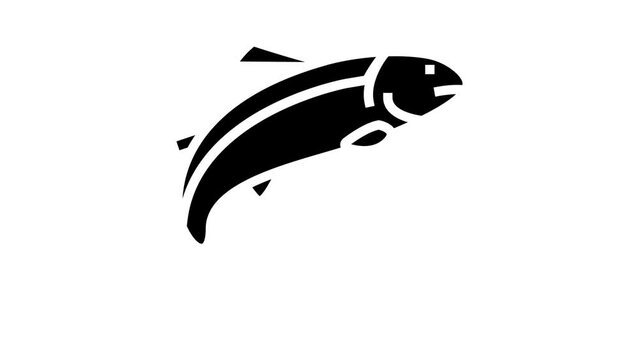 salmon fish glyph icon animation