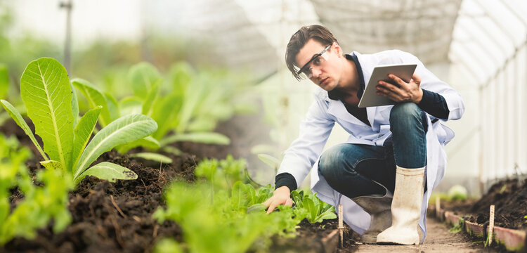 Portrait of handsome agricultural researcher holding tablet while working on research at plantation in industrial greenhouse. Panorama image use for cover design.