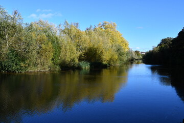 Fototapeta na wymiar Autumn colours reflection on a river Nore, Kilkenny, Ireland