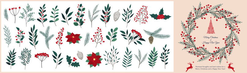 Christmas hand drawn set of poinsettia, leaves, branches, berries, holly, pine cone, guelder rose. Winter floral cozy collection. Vector sketch elements. Christmas reindeer and Christmas tree