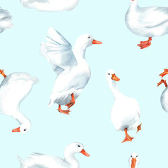Duck village, pekin ducks seamless patterns. Animals farm, zoo. Cute birds. clipart
 Stock illustration. Hand painted in watercolor.