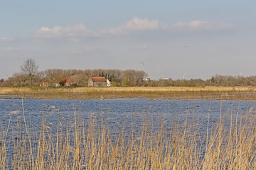 Winter wetlands with bare trees and golden reed and old historical farm under a cloudy sky in Bourgoyen nature reserve, Ghent, Flanders, Belgium 