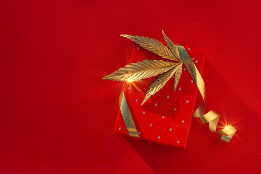 Christmas background with gift box, golden leaf marijuana red festive background