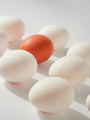 chicken eggs isolated on white background