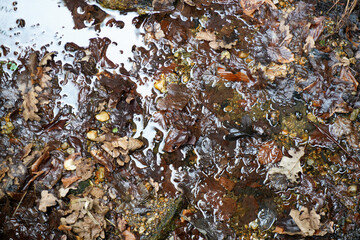 Farmhouse with lots of wood and stone