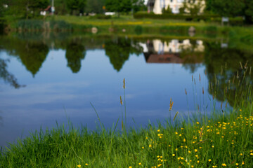 protecting water is important in the climate catastrophe and global warming