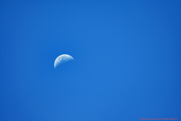 Daylight moon in Cape Town South Africa