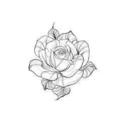 Detailed sketch of a rose flower tattoo. Decorative elements for tattoo, greeting card, wedding invitation in engraving style.