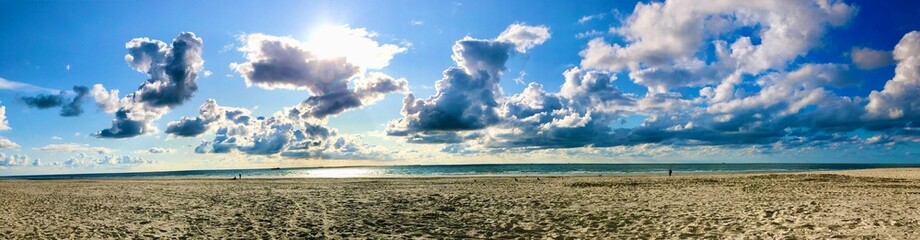 Obraz premium grass and sky