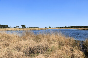 lake in the cross border park the Zoom and Kalmthout heath in Belgium, the Netherlands