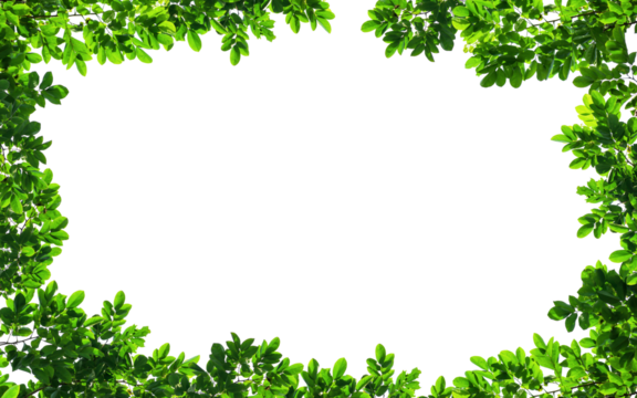 Frame of green leaves on background with center space