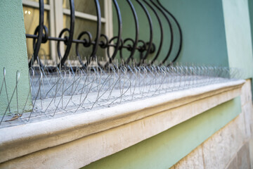 Anti-birds spikes on a window, stainless steel pigeon deterrent.