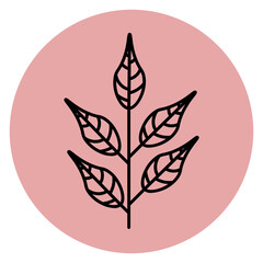leaf icon