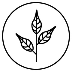 leaf icon