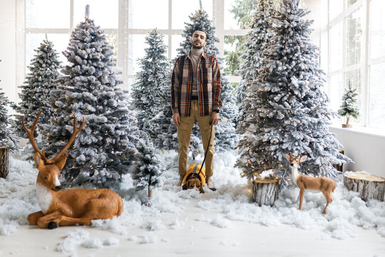 Cute New Year's photo of a man and his dog. Portrait festive photos of a dog in New Year's decorations.