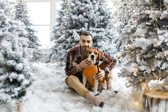 Cute New Year's photo of a man and his dog. Portrait festive photos of a dog in New Year's decorations.