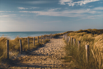 Dühnenweg zum Strand im Westen von den Niederlande 