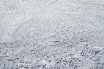 The bank of the Danube river covered with snow. Frozen, snow-covered banks of the Danube River below the Petrovaradin Fortress, Vojvodina, Novi Sad, Petrovaradin, Serbia.
