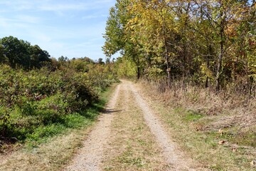 The long empty path in the countryside on a sunny day.