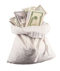 Many US dollar bills or notes with money bags