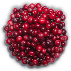 Cranberry Vaccinium oxycoccus, pile of, top view isolated png