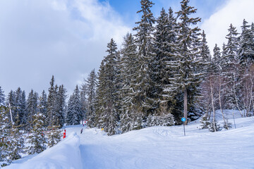 Savoie, France - 15.02.2022: Panorama of ski fields with skiers in Les Arcs, snow fir trees background, Europe. High quality photo