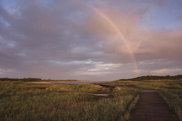 rainbow over the fields