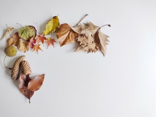 Autumn dry leaves on white table. Top view. Decorative concept. Mock up, flat lay