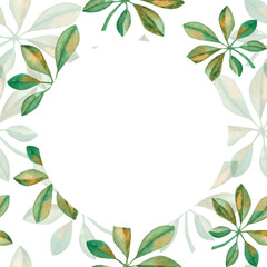 Fototapeta premium Watercolor frame. Hand painted illustration of green, yellow schefflera leaves. Tropical foliage. Jungle, rainforest plant. Nature. Blank template for greeting postcards, birthday cards, invitations