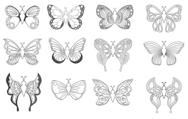 Set of butterflies on picture