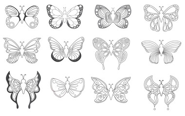 Set of butterflies line in illustrations