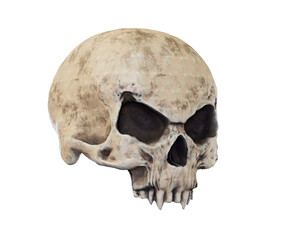 Obraz premium The vampire skull isolated 3d render