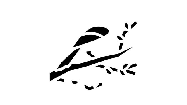 bird spring glyph icon animation