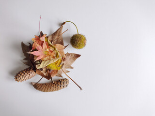 Autumn dry leaves on white background. Top view. Still life. Mock up, flat lay