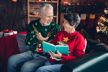 Fototapeta premium Portrait of two peaceful positive people sitting couch read book speak communicate enjoy newyear time indoors
