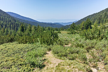 Fototapeta na wymiar Landscape of Pirin Mountain mountain near Begovitsa hut, Bulgaria