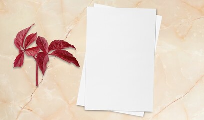 Blank office paper mockup and dry leaves