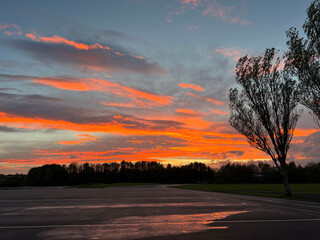 Beautiful sunset in the park
