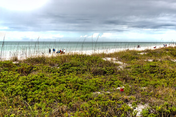 Along the beach