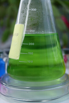 The green solution of sodium hydroxide is colored with an indicator dye.