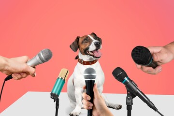 Cute young dog speaker on conference with microphones