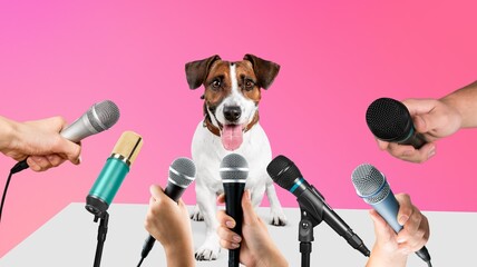 Cute young dog speaker on conference with microphones